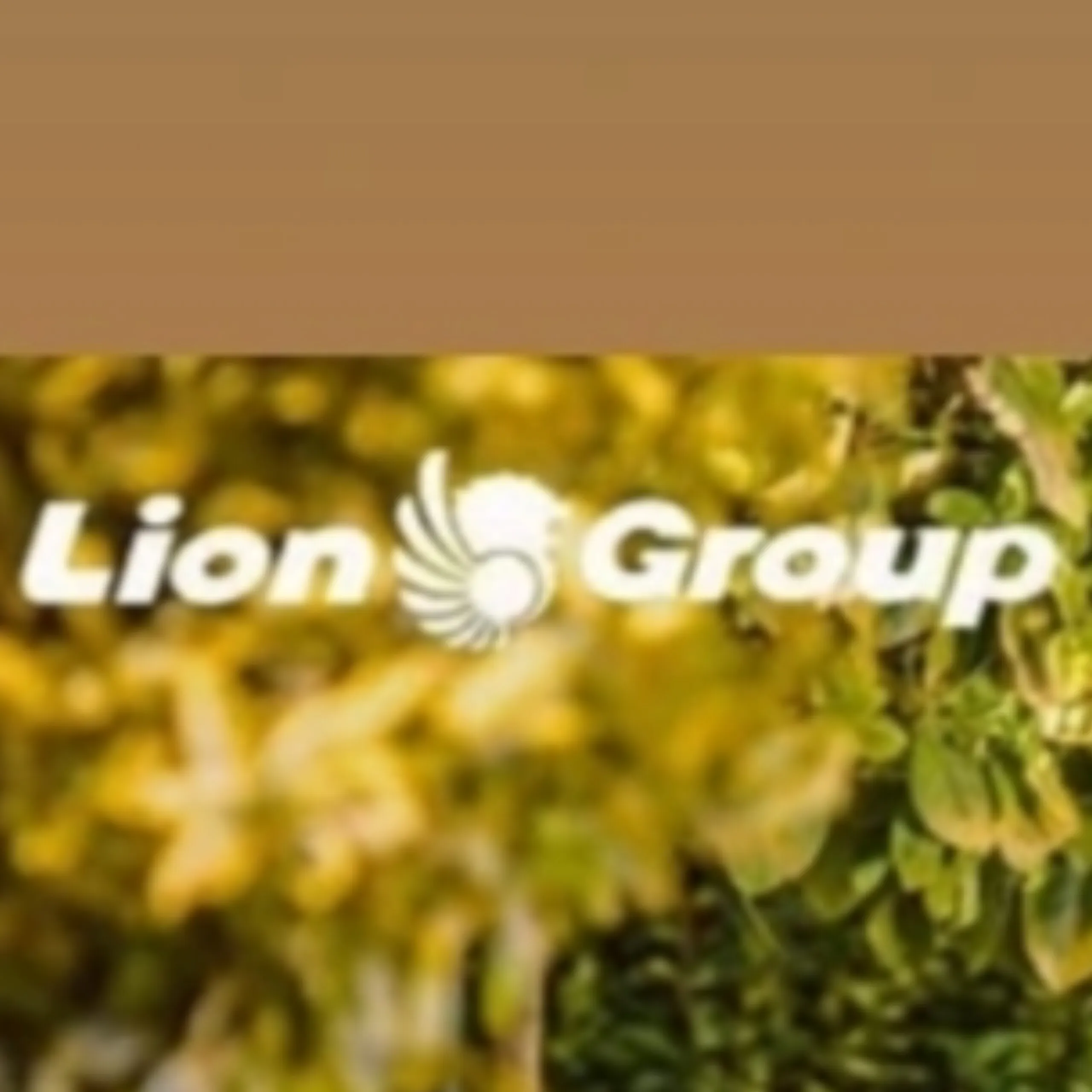 Logo Lion Group