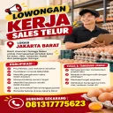 Logo Sales