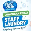 Logo Easy Clean