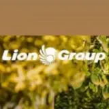 Logo Lion Group